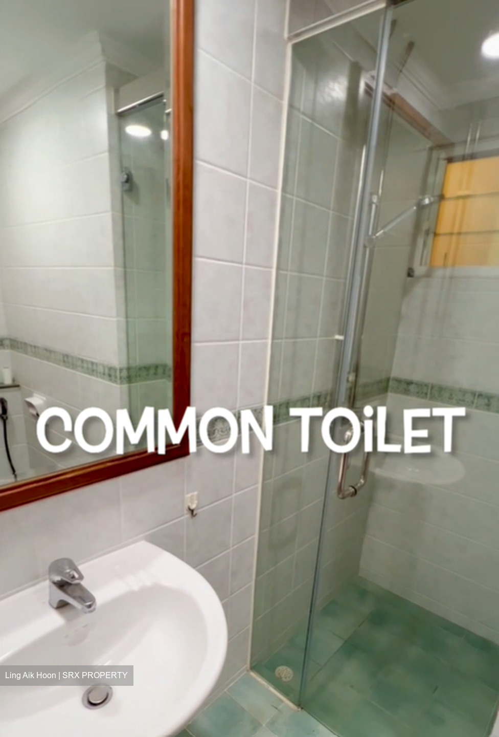 Emerald Garden (D1), Condominium #433496471